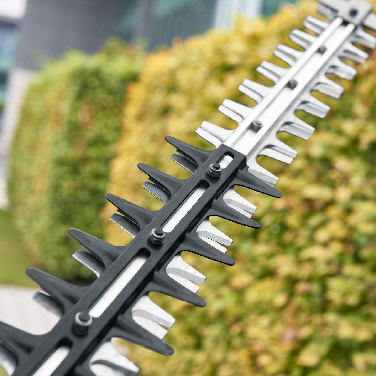 HTX6500E 65cm Heckenschere für profis Ego Power+